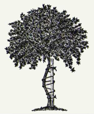 tree.jpg (28730 bytes)